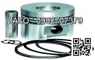 piston động cơ FIAT GROUP F4AE0684R-CR , CYL , CM3