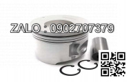 piston động cơ FIAT GROUP 8210.02.673 , 6 CYL , CM3