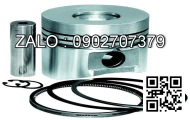 piston động cơ RVI RENAULT TRUCK S9U 714 , 4 CYL , 2500 CM3