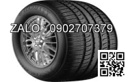 Lốp xe 210/95R44 Agrimax RT955 120A8/B E TL