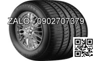 Lốp xe 210/95R44 Agrimax RT955 120A8/B E TL