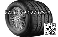 Lốp xe 210/95R44 Agrimax RT955 120A8/B E TL