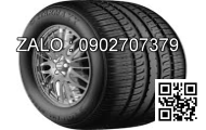 Lốp xe 210/95R44 Agrimax RT955 120A8/B E TL