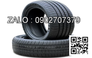 Lốp xe 210/95R44 Agrimax RT955 120A8/B E TL