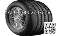 Lốp xe 210/95R44 Agrimax RT955 120A8/B E TL