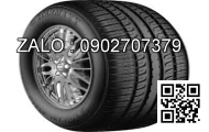 Lốp xe 210/95R44 Agrimax RT955 120A8/B E TL