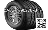 Lốp xe 210/95R44 Agrimax RT955 120A8/B E TL