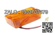 Xi nhan trước 24V,25W