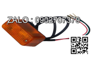 Xi nhan trước LED12-24V