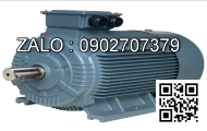 Motor cáp JMF-36-06 ( trục trơn 25, mặt 101mm )