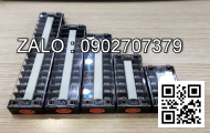 Domino tép BLOX CONNECT FJ10N