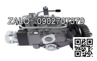 Heo dầu động cơ LOMBARDINI LDW 702 , 2 CYL , CM3