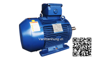 Motor điện YLJ 132-25 N.m, 7.5kW