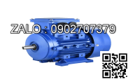 Motor điện YLJ 132-25 N.m, 7.5kW