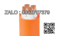 Dây cáp điện bọc CXV chống cháy 2R CXV/FR 2x95 mm