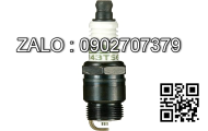 PLUG-SPARK 1389133