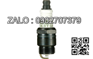 PLUG-SPARK 1389133