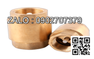 Van 1 chiều lò xo Inox 304 DN40