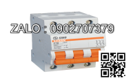 MCB LS 2 Cực 10 KA 6 A BKN-B-2P606