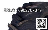 Lốp xe 270/95R54 Agrimax RT955 146A8/B E TL