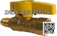 Van báo động ( Alarm Valve ) - JS China ( Trung Quốc ) DN450