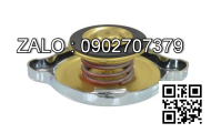CAP-RADIATOR 7 PSI 3051035