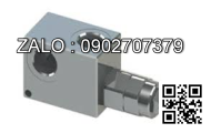 Van an toàn thủy lực SEWON BST-10-2B3B-D24-N-47