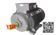 Động cơ DKM motor 2IK6GN-CW2E