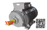 Động cơ DKM motor 2IK6GN-CW2E