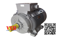 Động cơ DKM motor 2IK6GN-CW2E