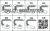 Oil Seal D1/45*56*7/F45*57*11/7