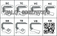 Oil Seal D1/45*56*7/F45*57*11/7