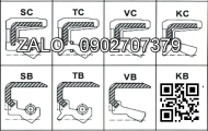 Oil Seal D1/45*56*7/F45*57*11/7