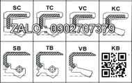 Oil Seal D1/45*56*7/F45*57*11/7