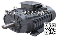 Motor điện AEEF, 4P - 7.5kW