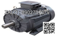 Motor điện AEEF, 4P - 7.5kW