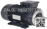 Motor giảm tốc DKM 8XD10GG