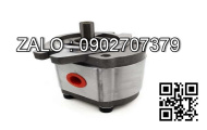 Bơm thủy lực P36-D2-FR-01