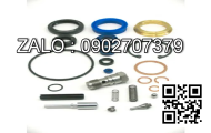 lò xo cò TOYOTA 1DZ,2Z,3Z,13Z,14Z,15Z