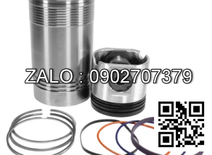 Bộ hơi động cơ VALMET BV 6606 TS , 6 CYL , CM3