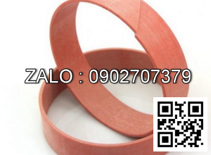 Bạc dẫn hướng Piston WR (guide ring, wear ring)