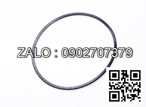 RING SEAL AC2/JO (set)