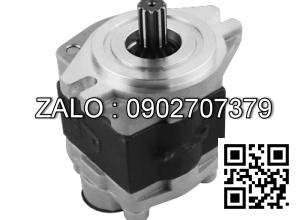 Bơm thủy lực HYSTER 2080691,1608836