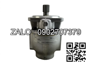 Bơm thủy lực TP20250-250CZ