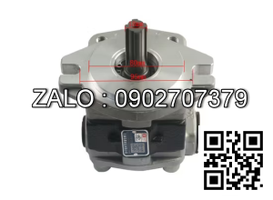 Bơm thủy lực DSG05C20F9H9