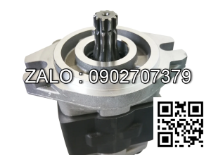 Bơm thủy lực 13T SGP1A-36 ( D22MĐV 82.5mm )