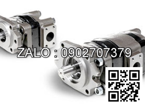 Bơm bánh răng HDP35.80-80-40S ( bơm 3 khoang )