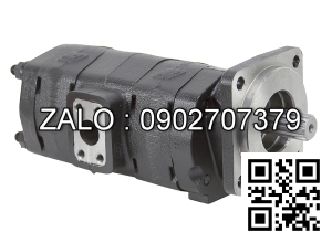 Bơm bánh răng HDP35.38-38-24S ( bơm 3 khoang )