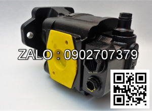 Bơm bánh răng KP30.38 ( bơm 1 khoang )