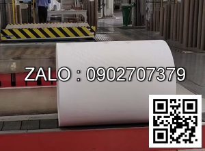 Băng tải cuộn giấy